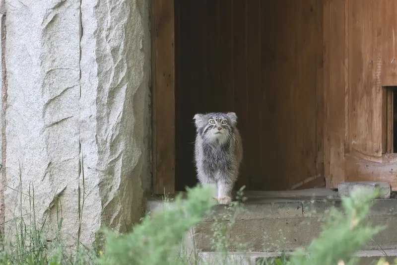 A photograph of Timofey in Moscow zoo