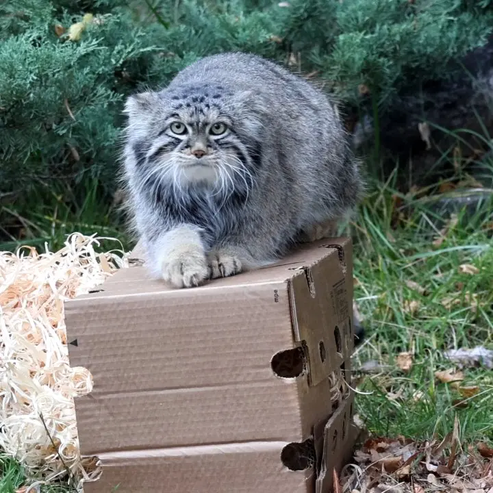 A photograph of Timofey in Moscow zoo