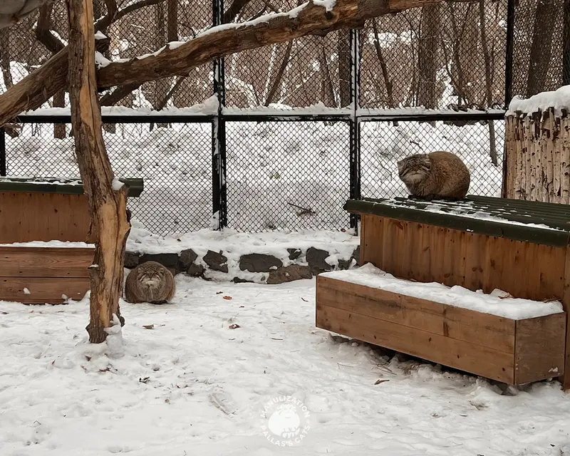 A photograph of Mia and George in Novosibirsk Zoo