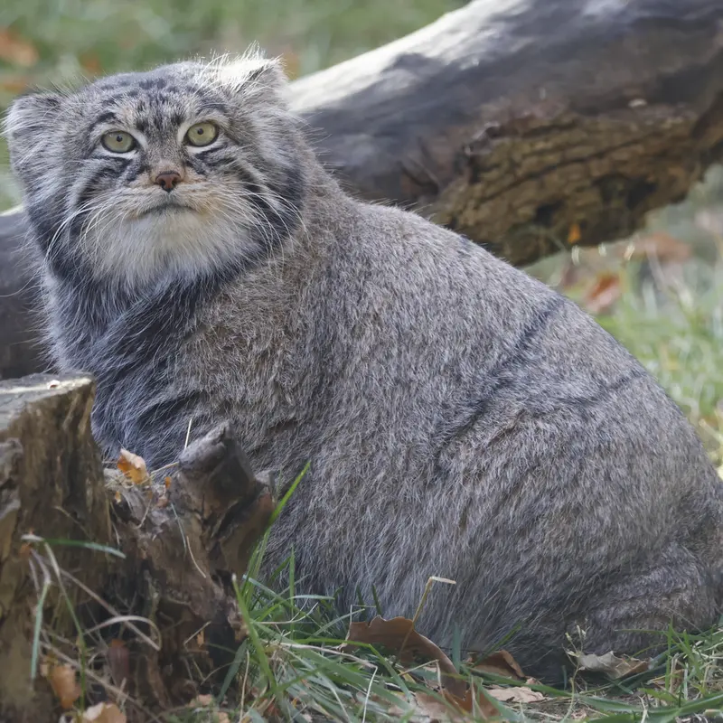 A photograph of Timofey in Moscow zoo