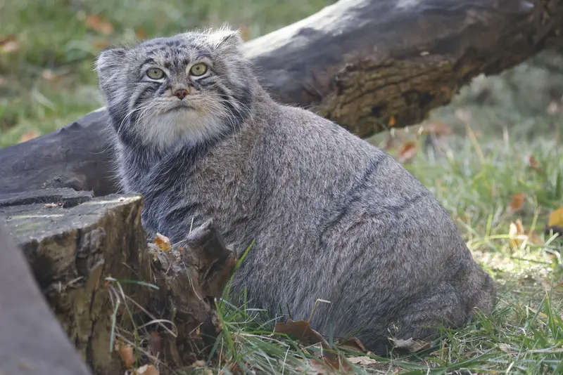 A photograph of Timofey in Moscow zoo