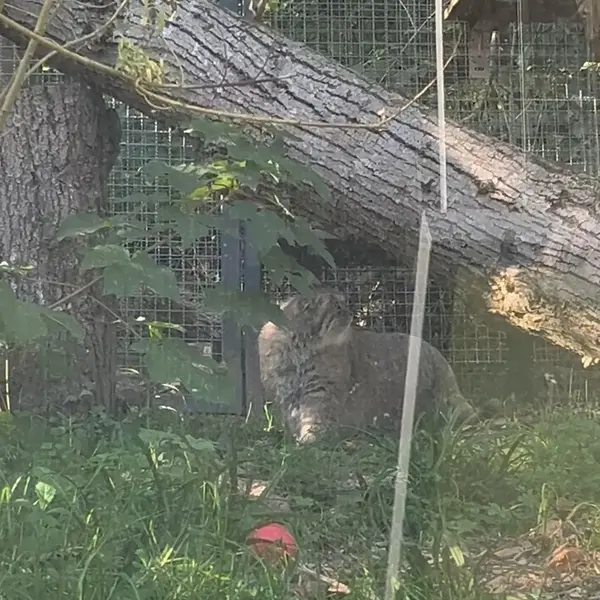 A photograph of Melissa in Lithuanian Zoo