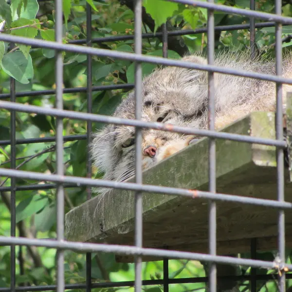 A photograph of Jonathan in Magdeburg Zoo