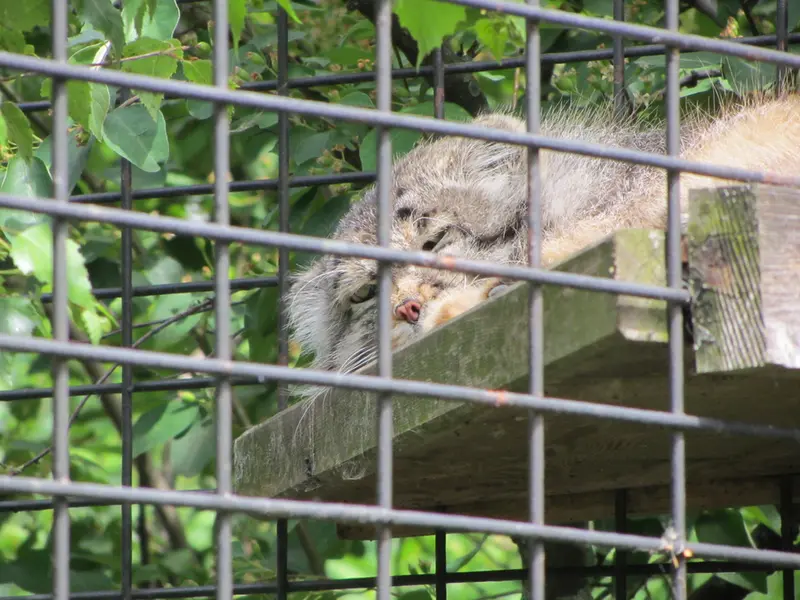 A photograph of Jonathan in Magdeburg Zoo