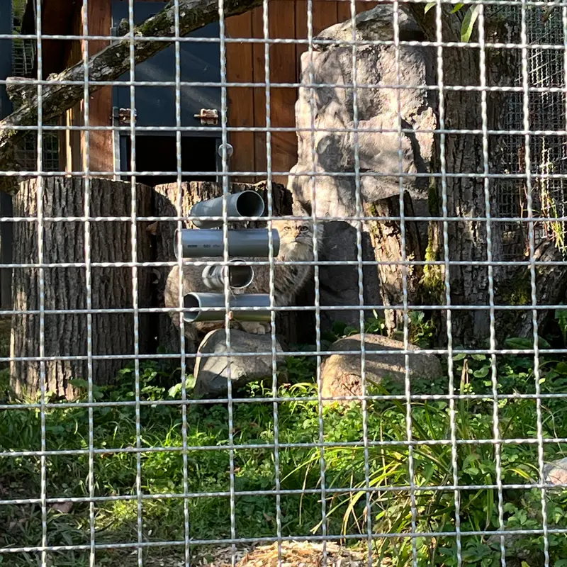 A photograph of Melissa in Lithuanian Zoo