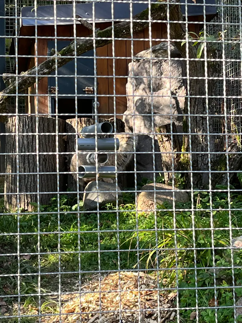 A photograph of Melissa in Lithuanian Zoo