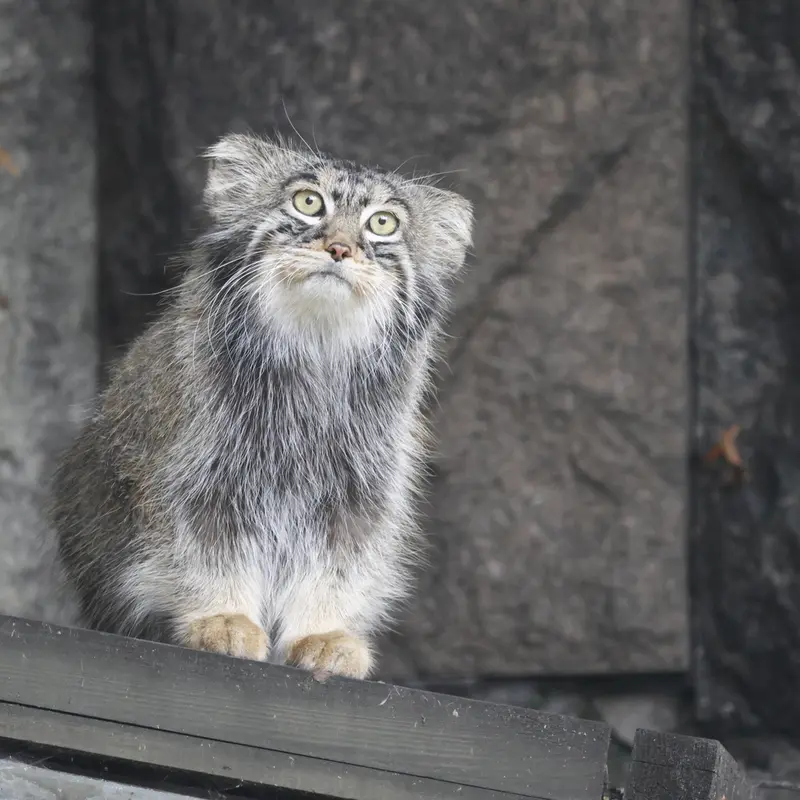 A photograph of Timofey in Moscow zoo