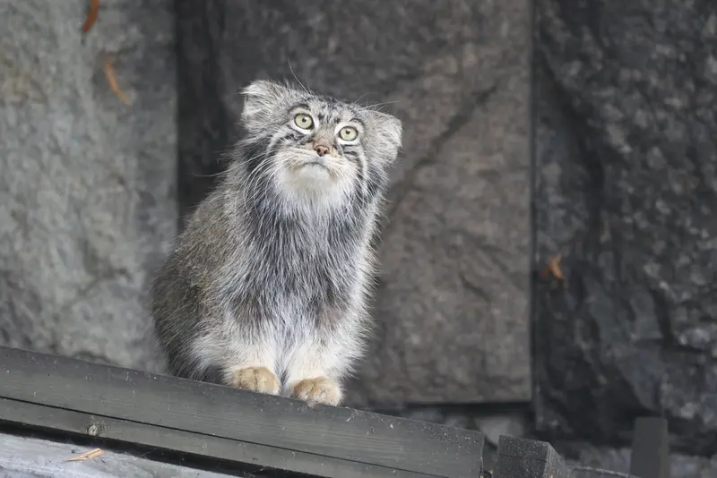 A photograph of Timofey in Moscow zoo