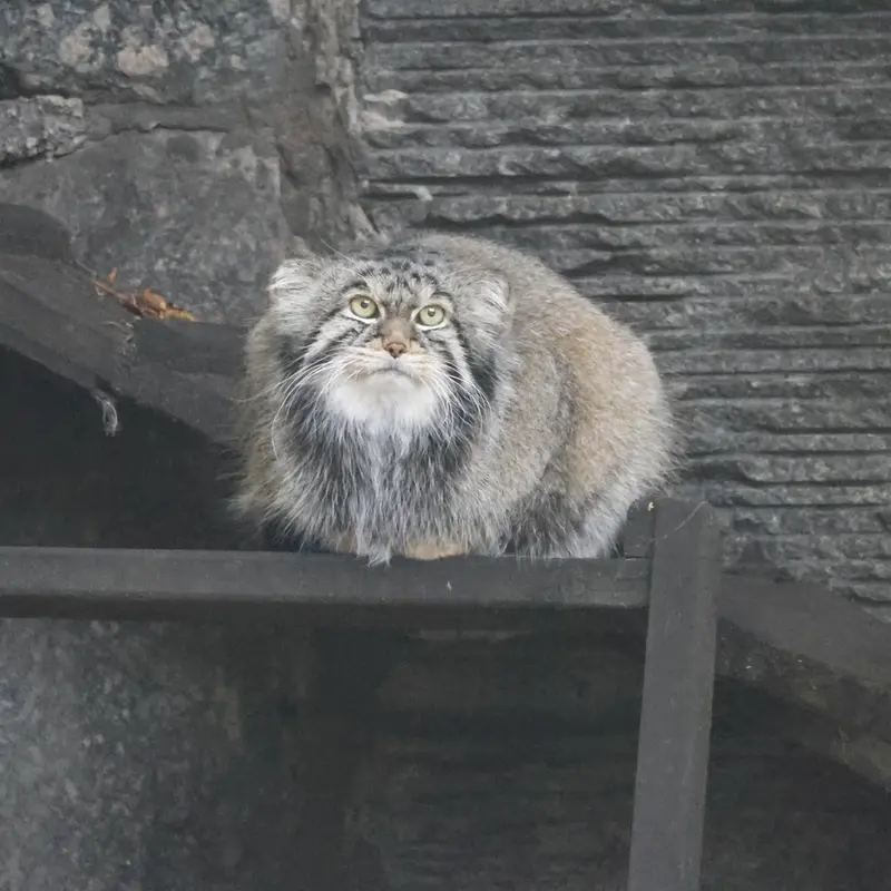 A photograph of Timofey in Moscow zoo