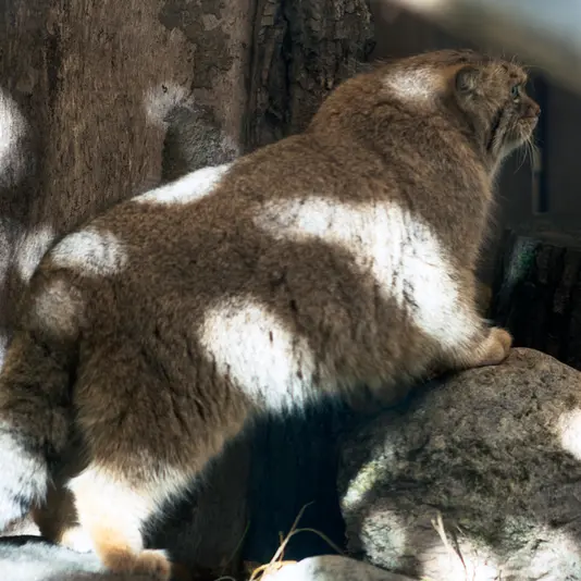 A photograph of Melissa in Lithuanian Zoo