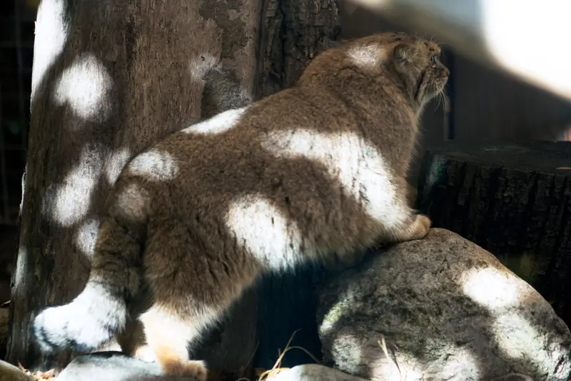 A photograph of Melissa in Lithuanian Zoo