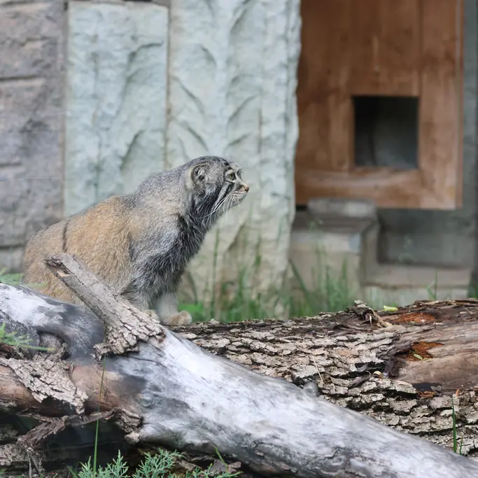 A photograph of Timofey in Moscow zoo