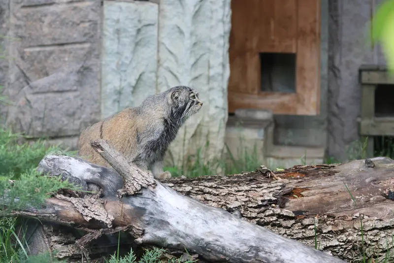 A photograph of Timofey in Moscow zoo