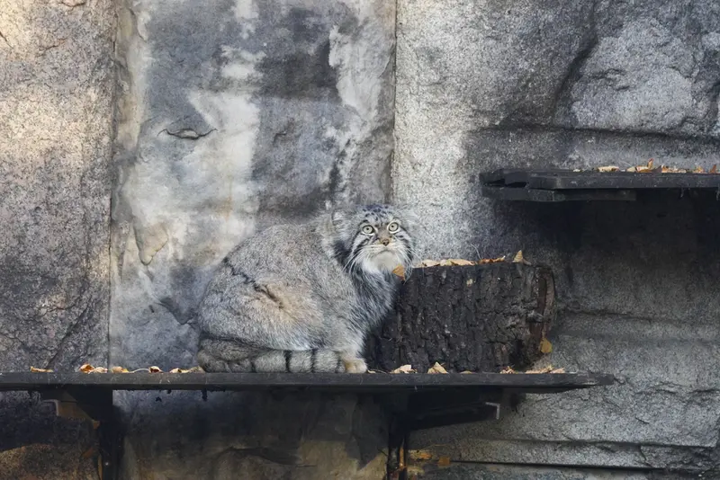 A photograph of Timofey in Moscow zoo
