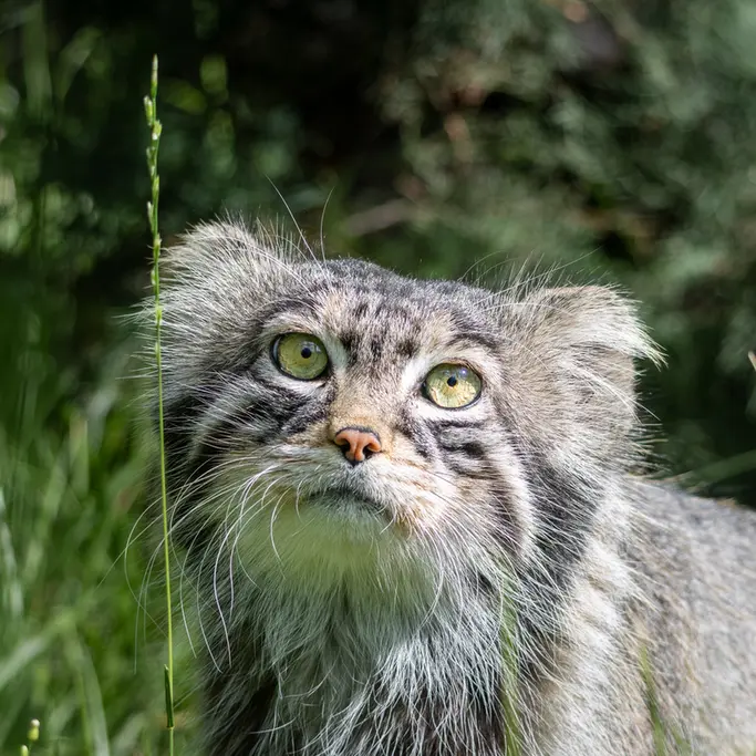 A photograph of Timofey in Moscow zoo