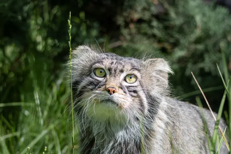 A photograph of Timofey in Moscow zoo