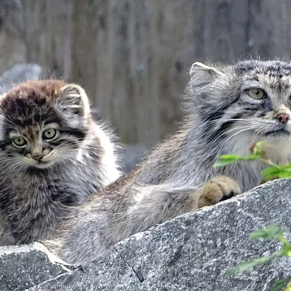 A photograph of Charu and Manuela in Tierpark Berlin