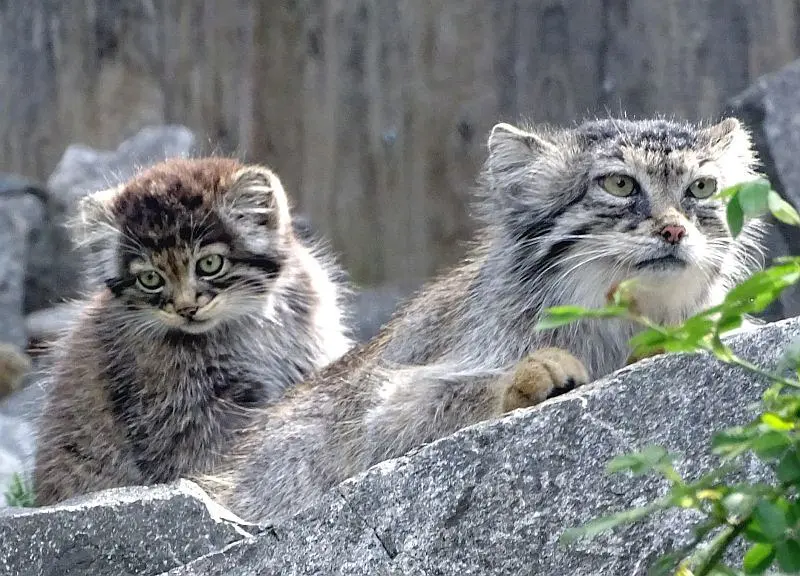 A photograph of Charu and Manuela in Tierpark Berlin