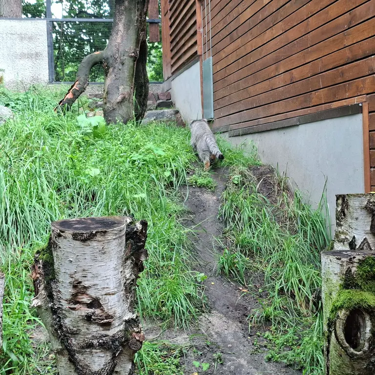 A photograph of Manuel in Gdansk Zoo