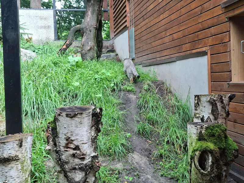A photograph of Manuel in Gdansk Zoo