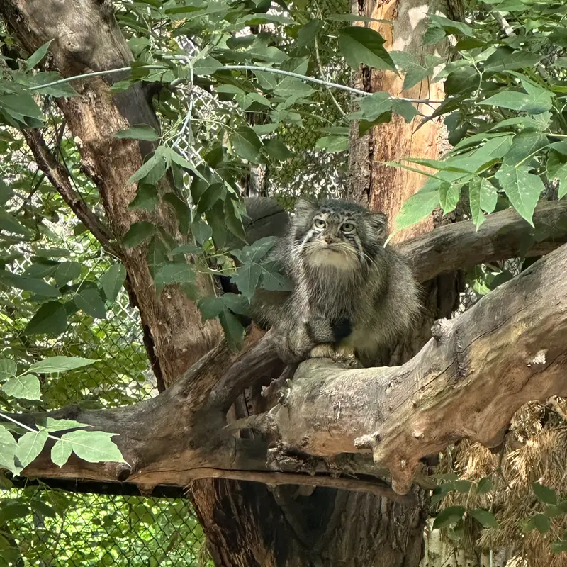 A photograph of Eve in Novosibirsk Zoo
