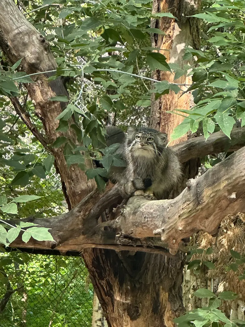 A photograph of Eve in Novosibirsk Zoo
