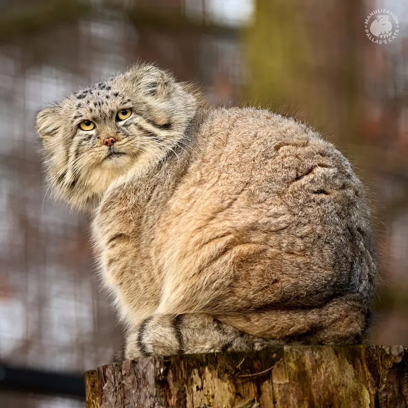 A photograph of Manuel in Gdansk Zoo
