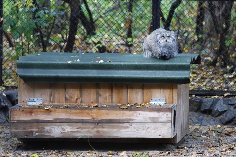 A photograph of Mia in Novosibirsk Zoo