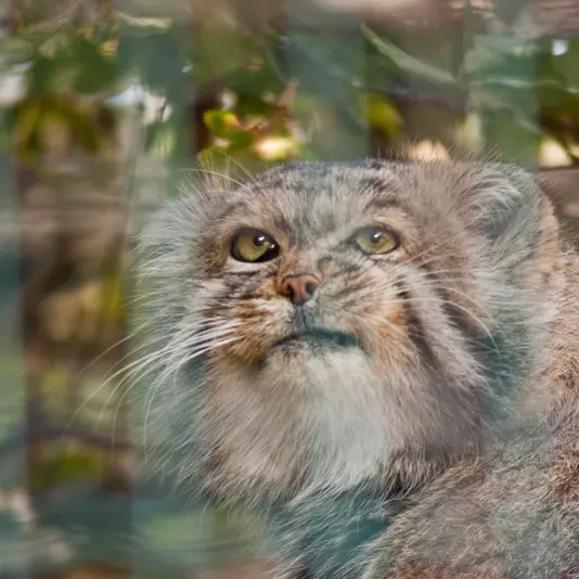 A photograph of Jonathan in Magdeburg Zoo