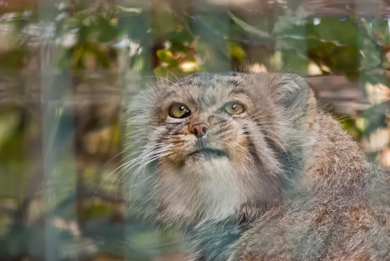 A photograph of Jonathan in Magdeburg Zoo
