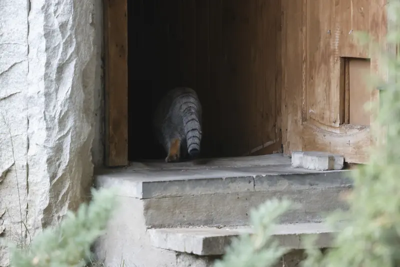 A photograph of Timofey in Moscow zoo