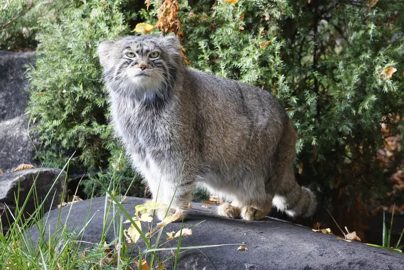 A photograph of Timofey in Moscow zoo