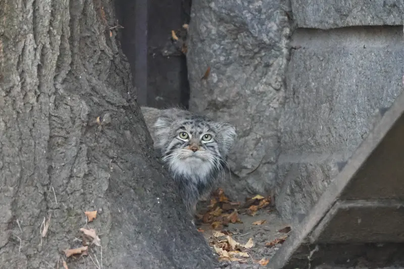 A photograph of Timofey in Moscow zoo