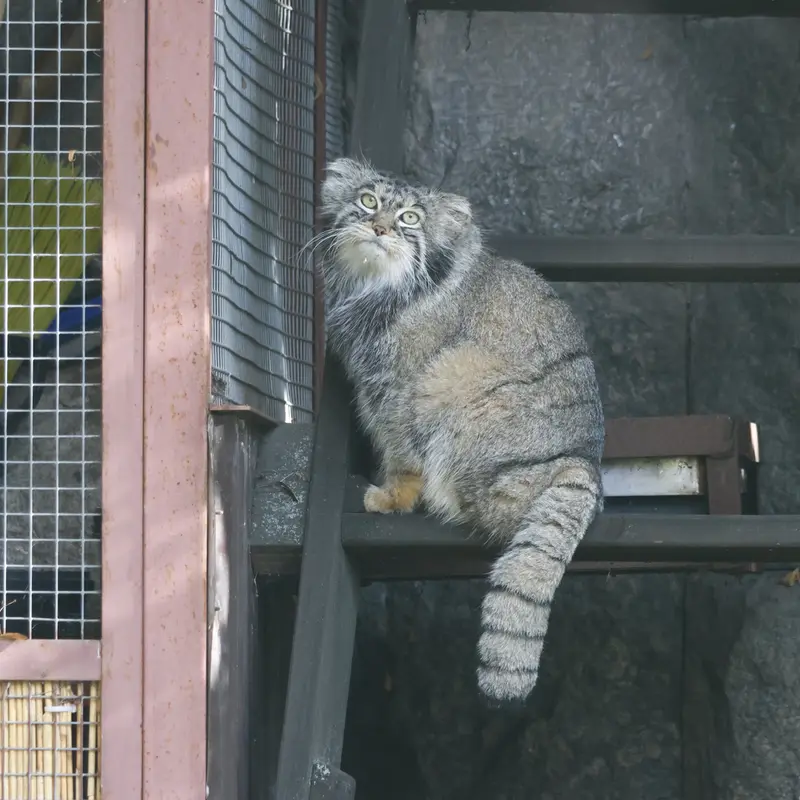 A photograph of Timofey in Moscow zoo