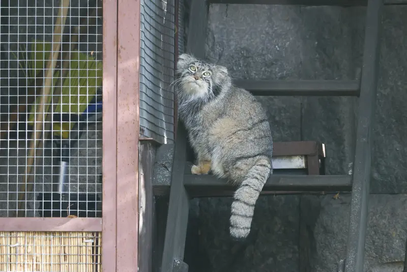 A photograph of Timofey in Moscow zoo