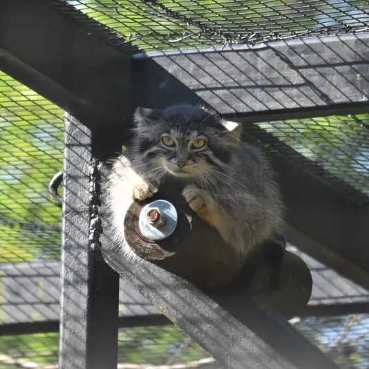 A photograph of Ula in Gdansk Zoo