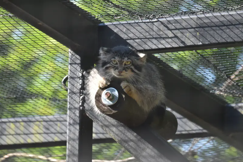 A photograph of Ula in Gdansk Zoo