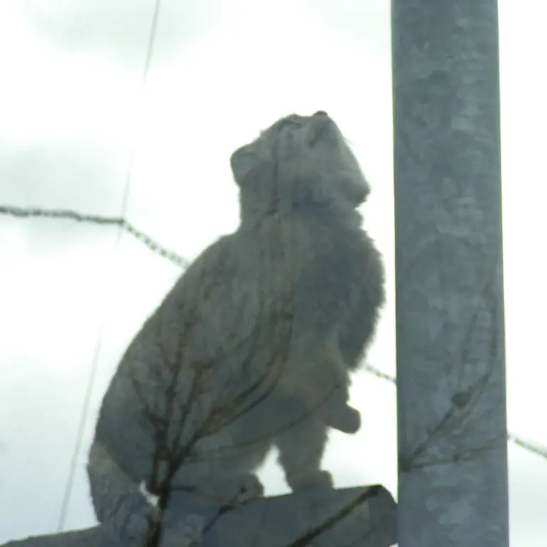 A photograph of Bat-Erdene in The Lakeland Wildlife Oasis