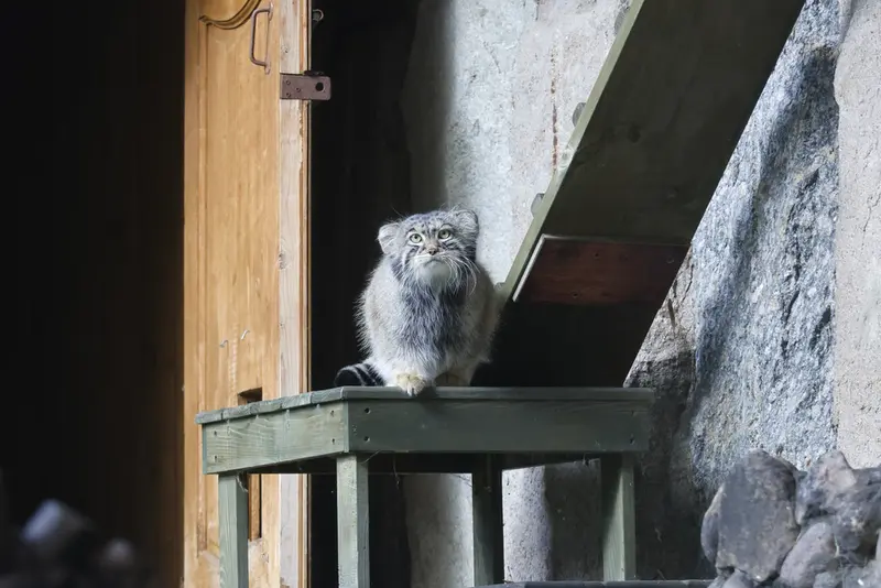 A photograph of Timofey in Moscow zoo