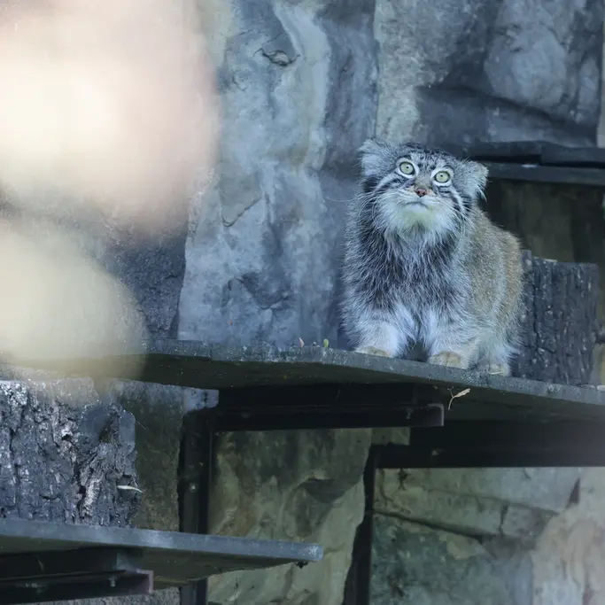 A photograph of Timofey in Moscow zoo