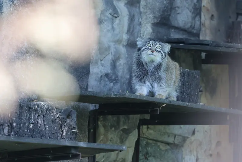 A photograph of Timofey in Moscow zoo