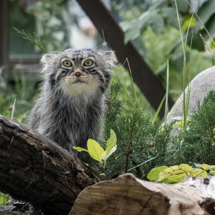 A photograph of Timofey in Moscow zoo