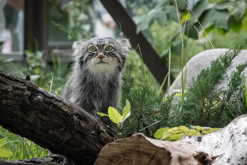 A photograph of Timofey in Moscow zoo