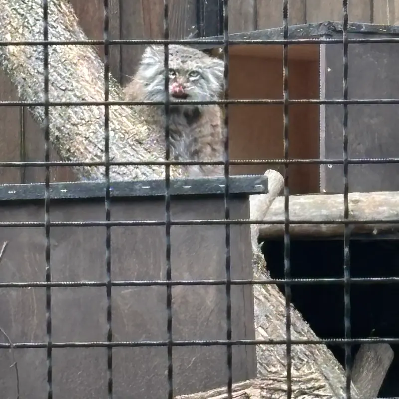 A photograph of Jessie in Warsaw Zoo