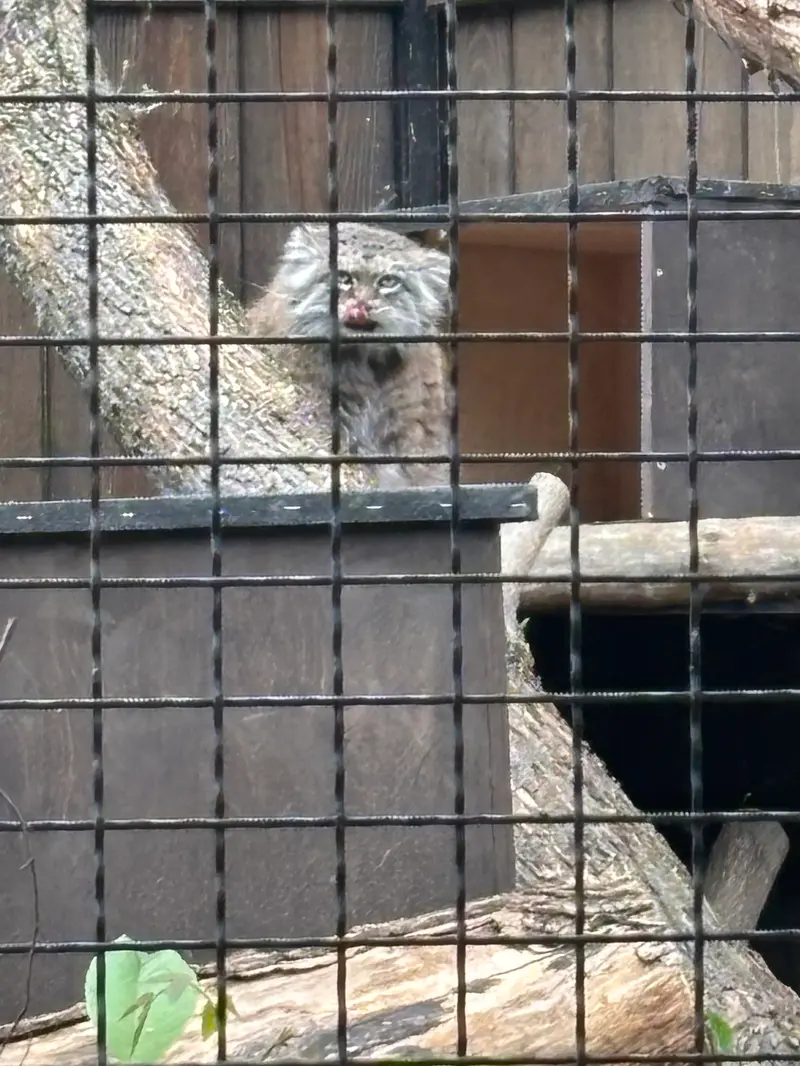 A photograph of Jessie in Warsaw Zoo