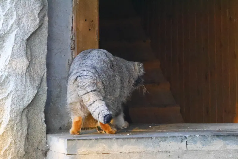 A photograph of Timofey in Moscow zoo
