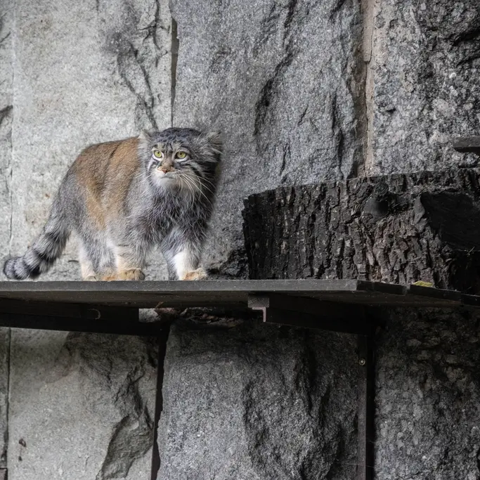 A photograph of Timofey in Moscow zoo