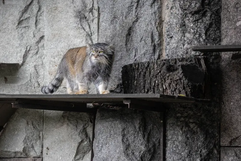 A photograph of Timofey in Moscow zoo