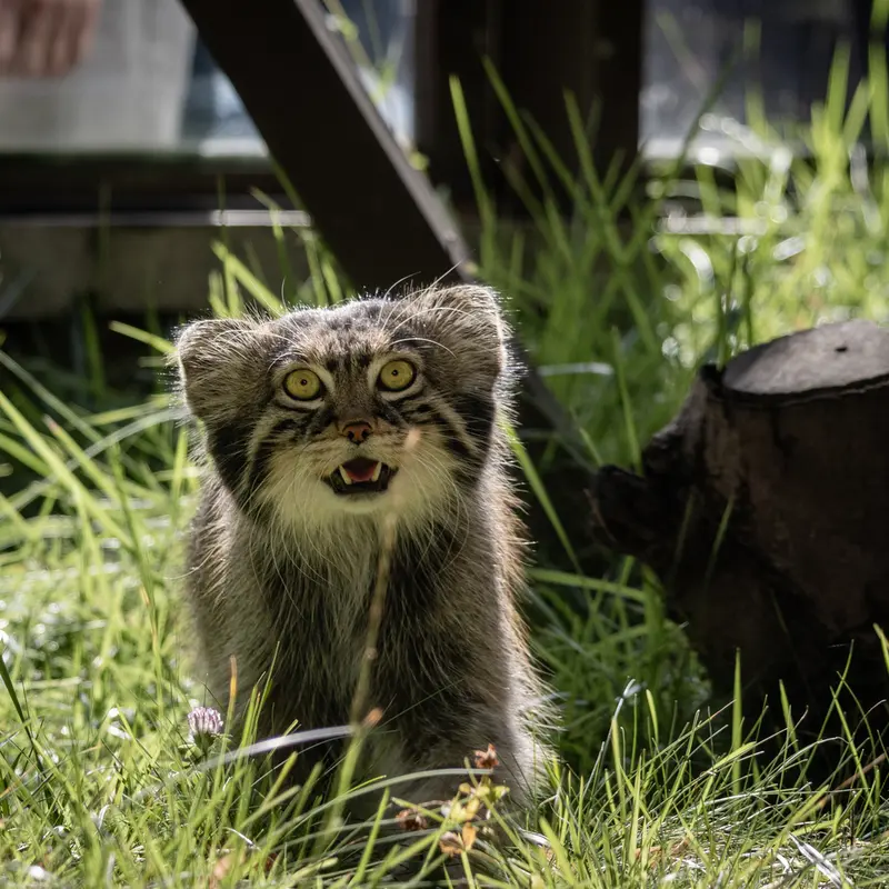 A photograph of Timofey in Moscow zoo