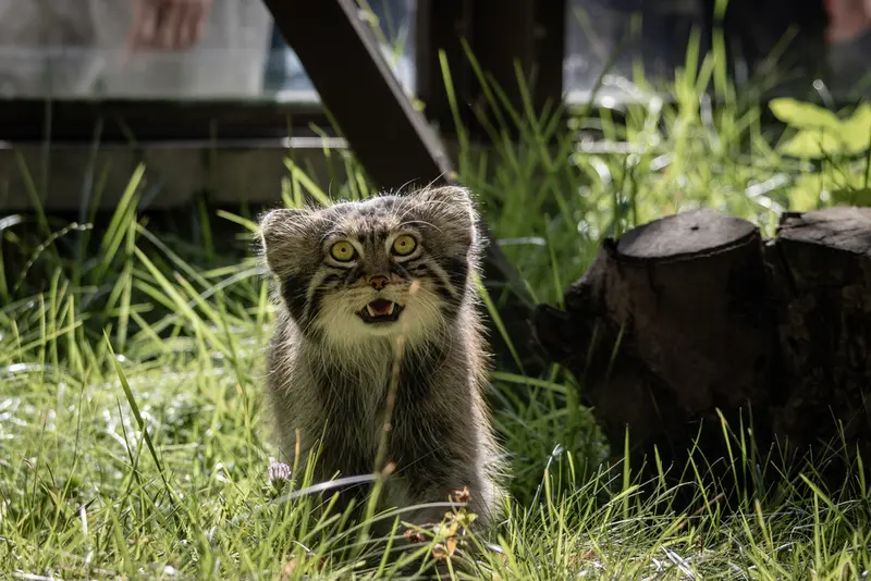 A photograph of Timofey in Moscow zoo